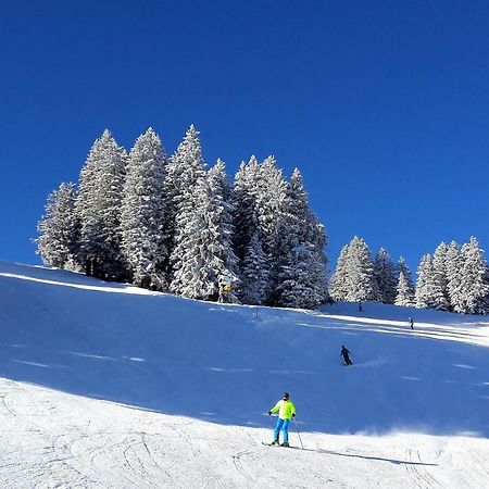 Laubrinus Apartman Adelboden Kültér fotó