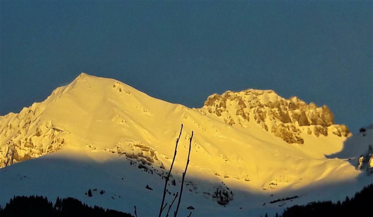Laubrinus Apartman Adelboden Kültér fotó